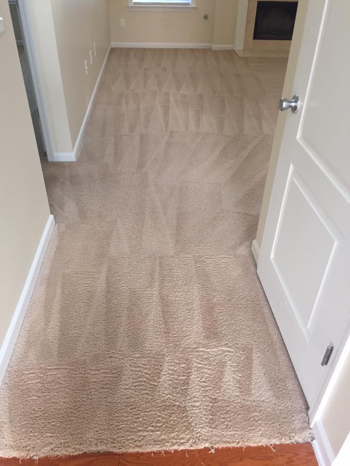 Carpet Cleaning Residential