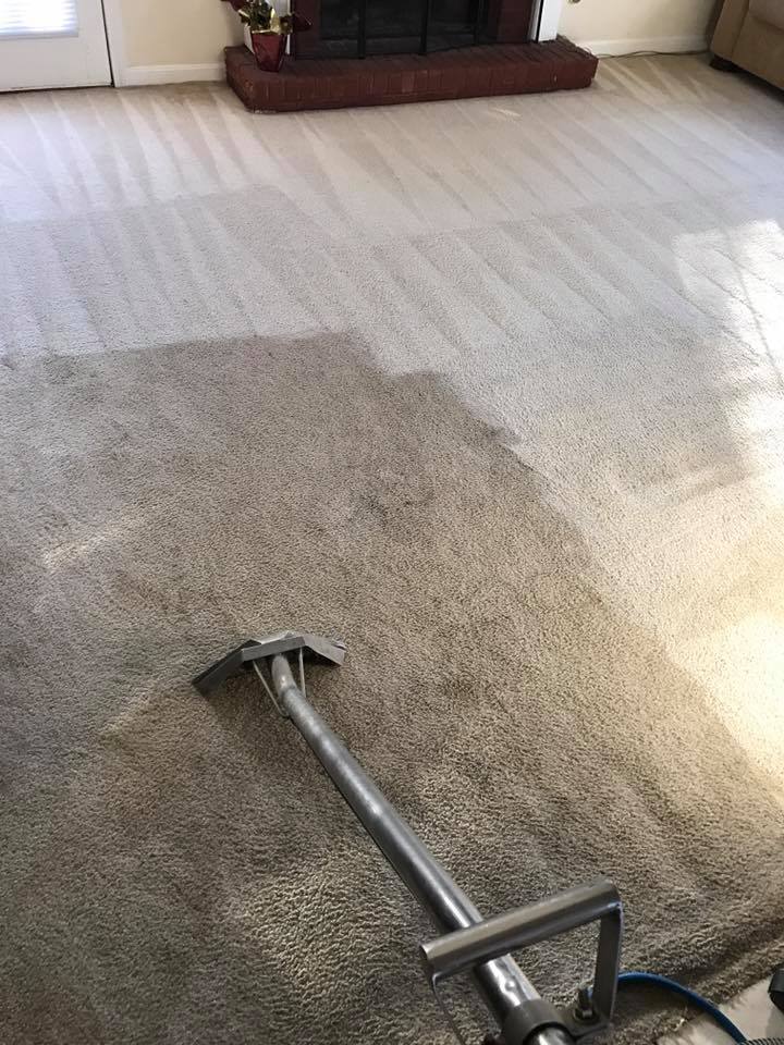How to Dry Carpet